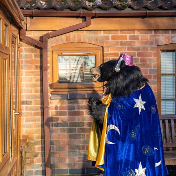 Magician bear outside conservatory