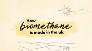 How biomethane is made in the UK Cadent Gas animation. Yellow background. Black text. Sketch of a sunny landscape and then a tractor in a field, then a harvester with a green background, then a village store with a pink background.