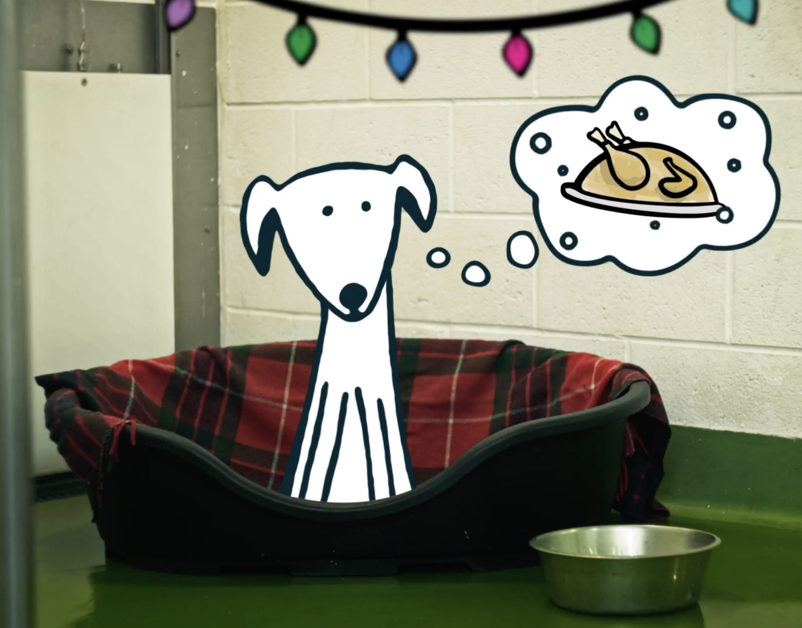 White illustrated dog character thinking about chicken on a plate, sat in a live action dog bed in a dog's home with illustrated Christmas lights at the top of the screen.